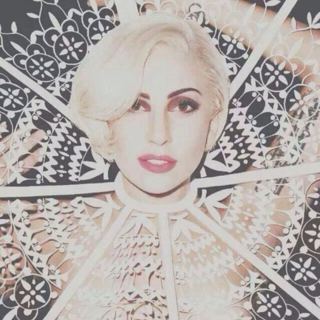 follow @cliffordsfeel for 5 free follows