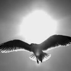 Innalementa's profile picture. 