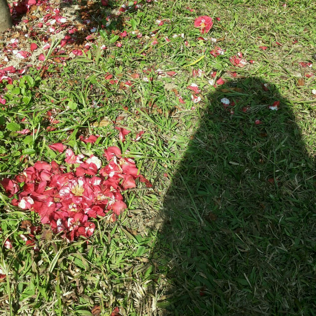 magewannabe's profile picture. 我知道不是所有的地鐵都開往春天，但有你的車廂總是讓我嚮往。