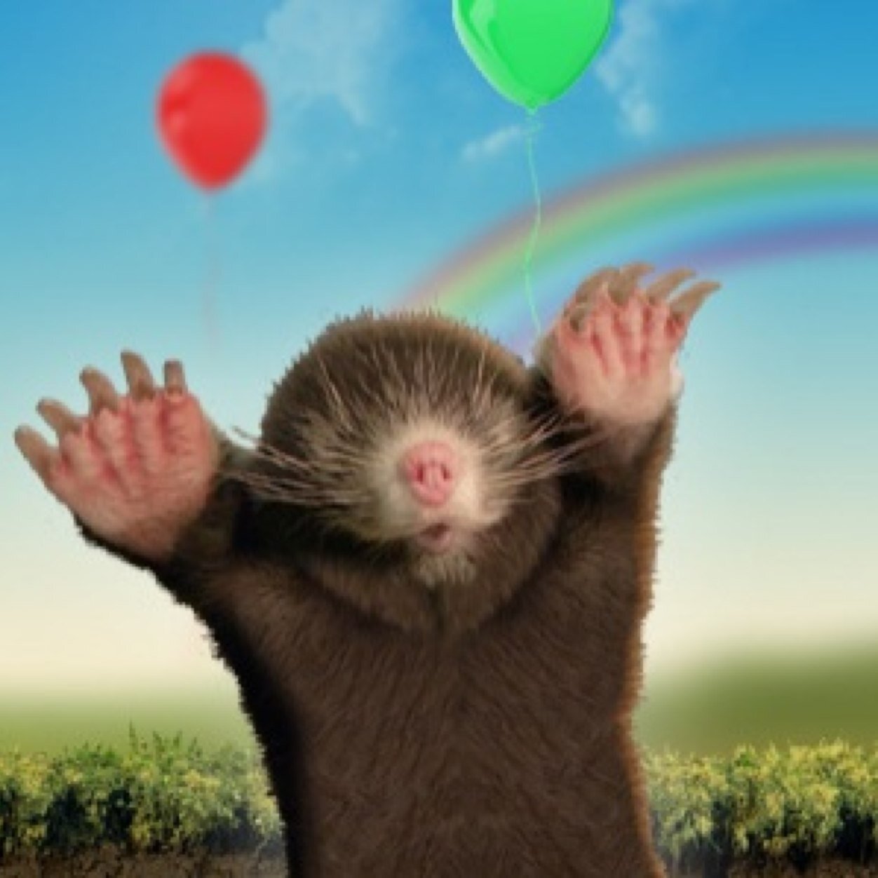 NottsPreCricket's profile picture. The only place to read what's going on in Nottingham and its cricketing brotherhood.