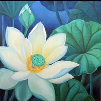 nirvana (@saturn2586) 's Twitter Profile Photo