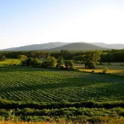 LexAveCSA's profile picture. Providing farm fresh certified organic produce weekly June-November grown by our wonderful farmers at Stoneledge Farm in S.Cairo NY.+ fruit, eggs, cheese, bread