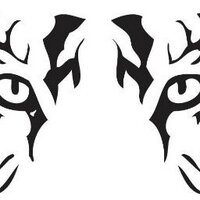 St. John Tigers (@stjohntigers) Twitter profile photo