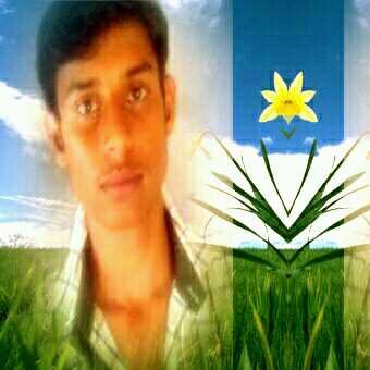 SanjaysinghSr's profile picture. 