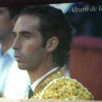 alvaro de la calle (@alvarodelacalle) 's Twitter Profile