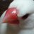 こたつのアイコン
