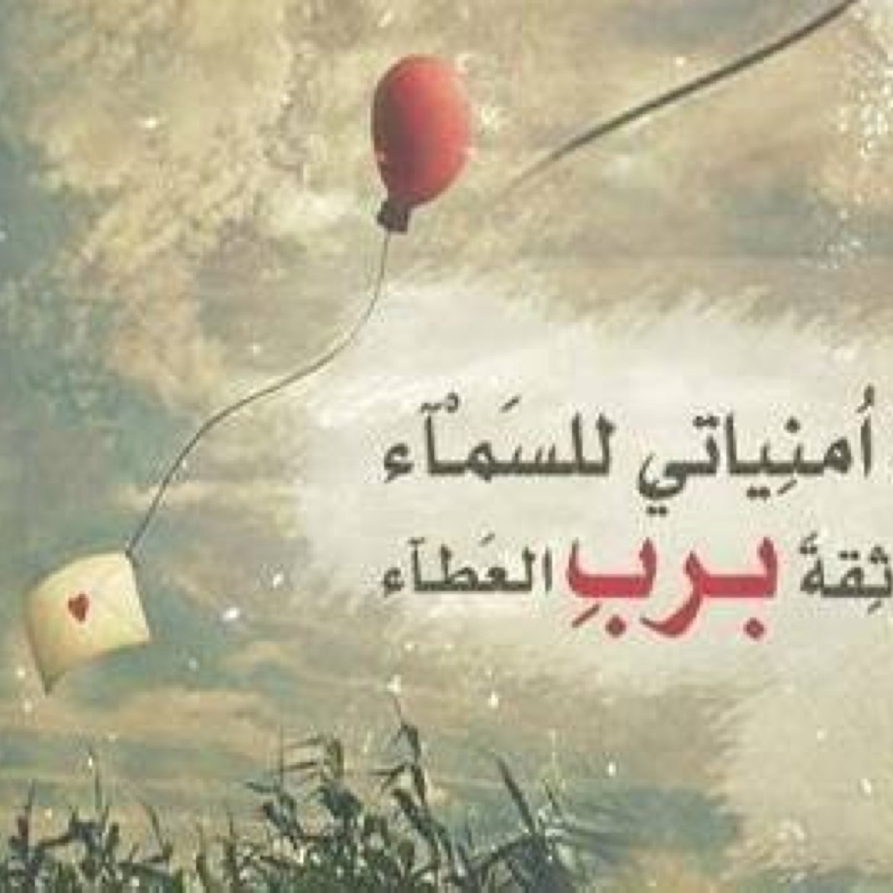 امراه تبحث عن زوج صالح