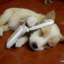 steven uhler - @stevenuhler1 - Twitter