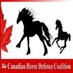 CHDC #Horseshit.ca (@defendhorsescan) Twitter profile photo
