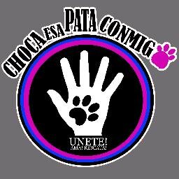 “Grupo de Voluntarios rescatistas y protectores de animales en situación de calle