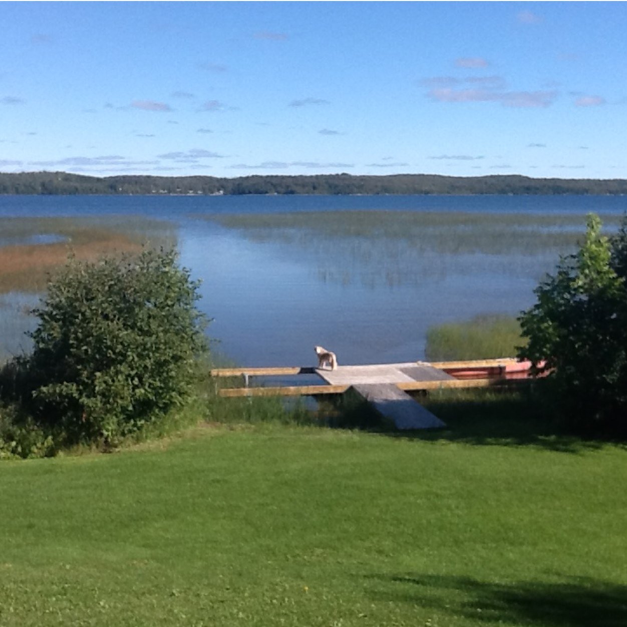 Jaisatchitanan's profile picture. Lover of Life