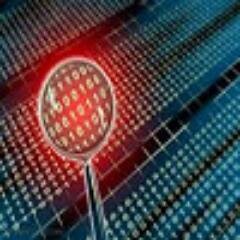 Comprehensive Penetration Testing , Network Security,Exploiting & Binary Code Analysis