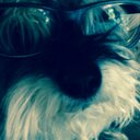 Tim Mendoza - @mendozatwin - Twitter