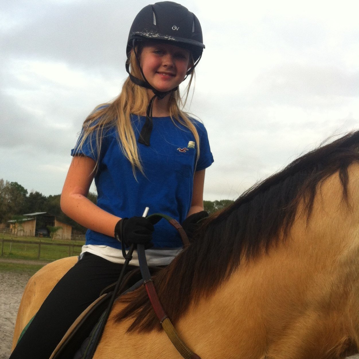 Country girl, dolphin whales and horse lover, and seaworld lover.