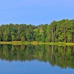 Clean Jordan Lake