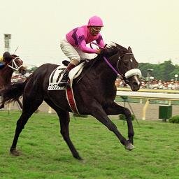 dabikyo's profile picture. 競馬に関することを主につぶやきます。長年保険関係の仕事をしております。休日は競馬をしながらのんびり過ごす。