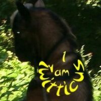 ☼TwitticusMktg✬ (@twitticusmktg) 's Twitter Profile