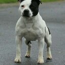 Steve Fairhurst - @dennyboy1973 - Twitter