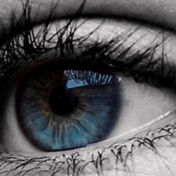 HaveFreeLife's profile picture. Felicidad: reirte con tu novio, tus amigas y sus novios y darte cuenta de que en ese momento todos somos felices.