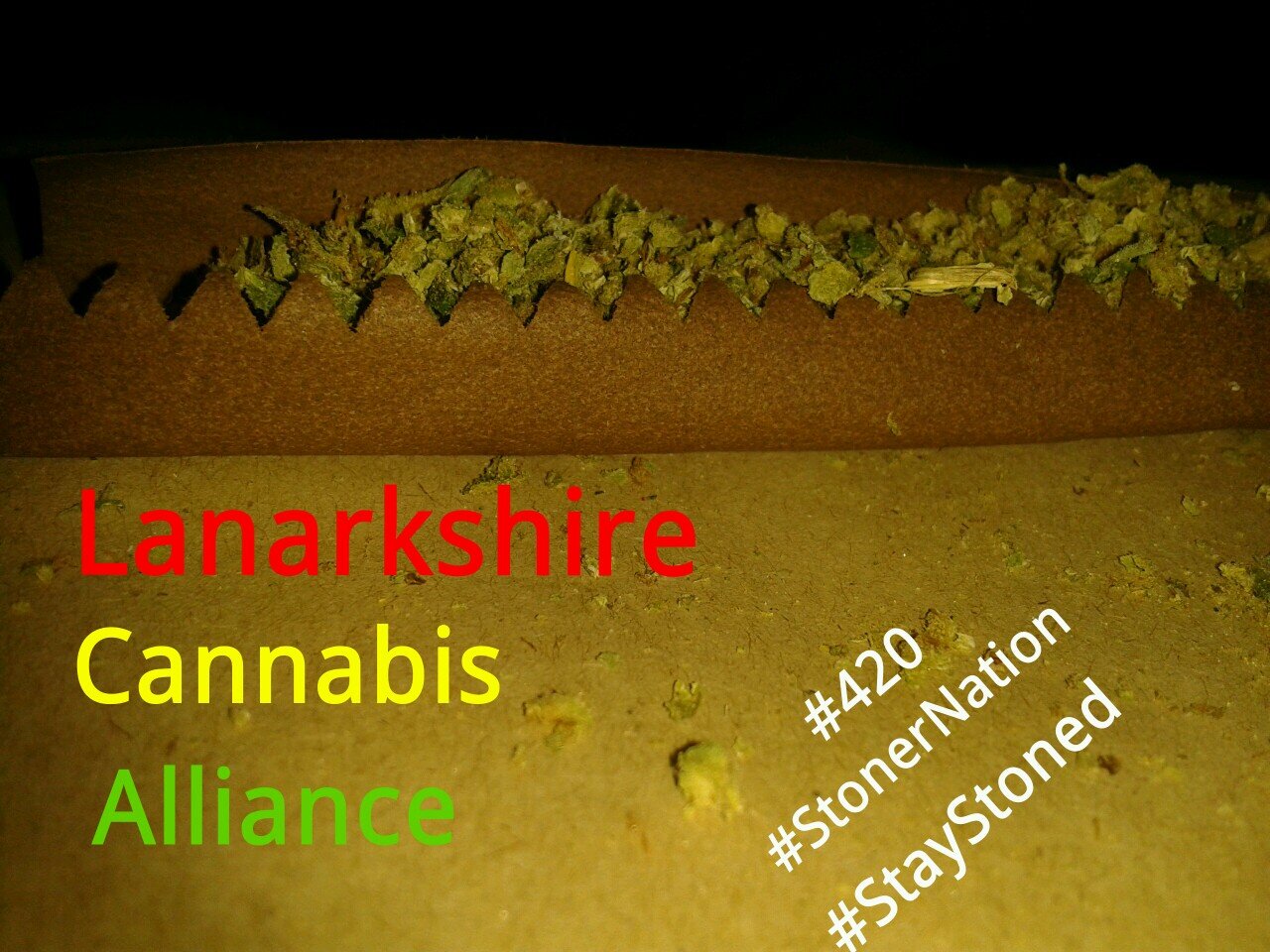 Lanarkshire Cannabis alliance is dedicated to bringing users of cannabis together. Follow for local news and keep up to date with the war on drugs.
