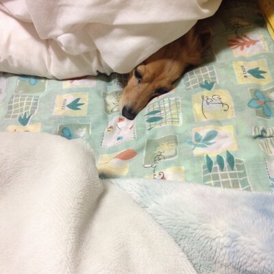 くら