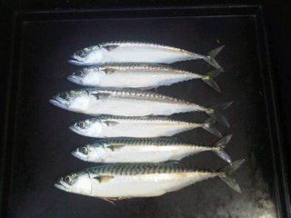 ryck999's profile picture. 