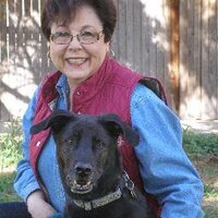 Dianna Stearns (@cpdtranr) 's Twitter Profile