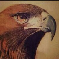 A S Al Darsoni (@asdtms) 's Twitter Profile