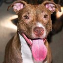 William Miller - @WillMill93 - Twitter