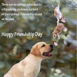 Let happiness & peace prevail everywhere on the earth.