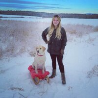 Imogen (@imogen_clements) 's Twitter Profile