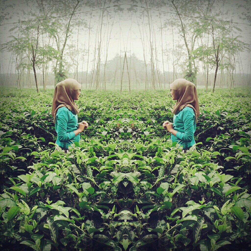 Part Of 128 JHS | 9'13 SHS | Ekonomi Akutansi Universitas Diponegoro