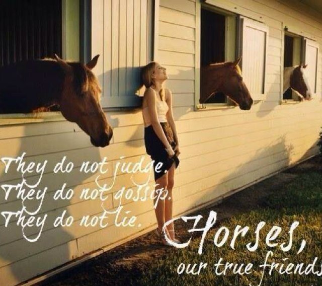 Just for fun ,Lover of horses... As you can tell