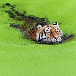 BZH718's profile picture. 