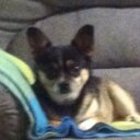 Wayne Garnett - @ausask50_wayne - Twitter