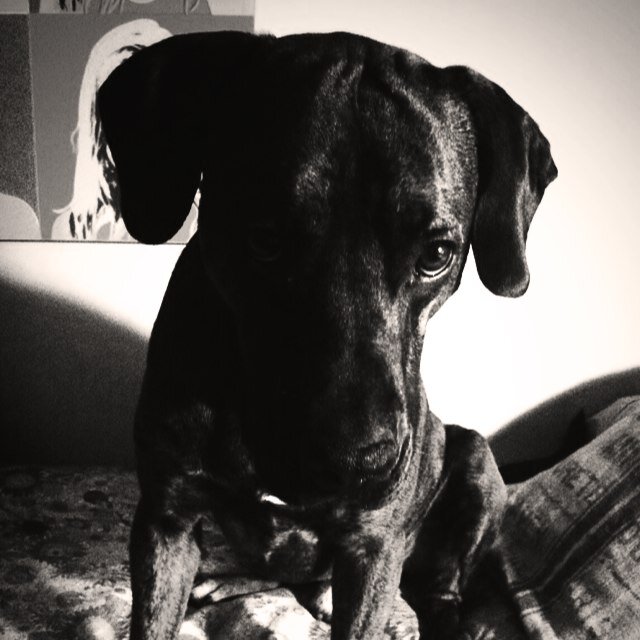Gaspi_escriba Profile Picture