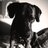 Gaspi_escriba's profile image
