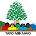 Tafo Mihaavo (@tafomihaavo) Twitter profile photo Tafo Mihaavo (@tafomihaavo) Twitter profile photo