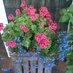 Karla Dalley (@watergardengodd) Twitter profile photo Karla Dalley (@watergardengodd) Twitter profile photo