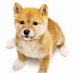 酒とゲームとデジモノが好物です。 CODやってます。SPM450位。FF14のAnima鯖に盾として生息中♪ID→Yossy Xiongxiongです( ´ ▽ ` )ﾉ ?? ?????！台灣的朋友~我歡迎?來大阪♪( ´θ｀)ノ