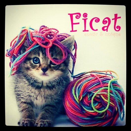 bigsale branded onlineshop ficat