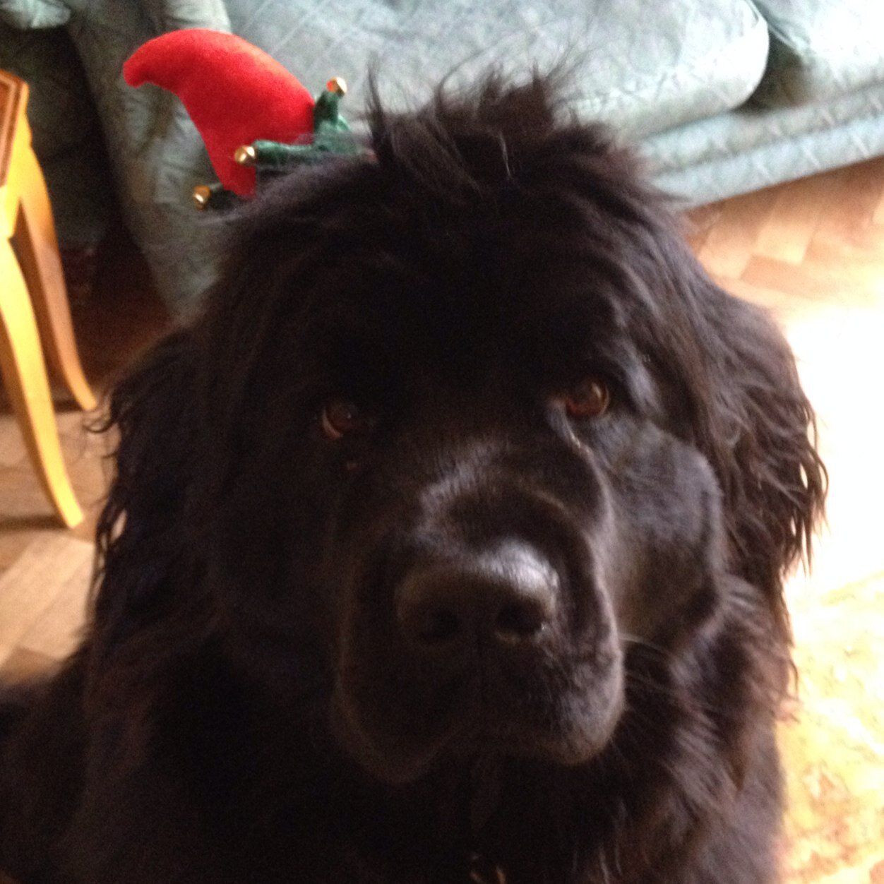 sarahgtaylor's profile picture. 