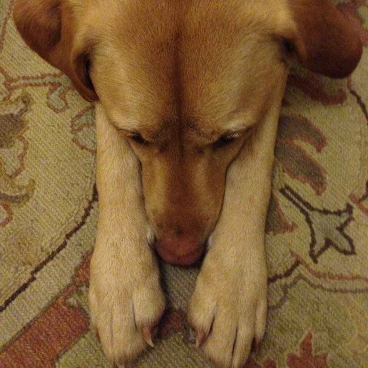 SamSwanborough's profile picture. 