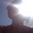 littlebellers's profile image
