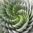 mnandii's profile image