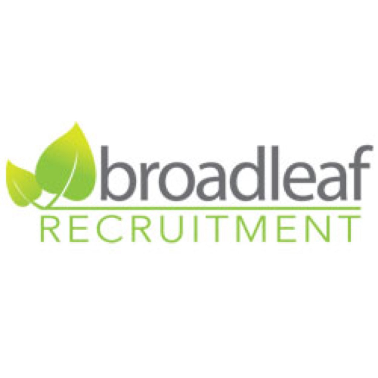 PayTV and video distribution technology recruitment. Global coverage of the digital TV market.