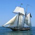 PrivateerLynx (@tallshiplynx) Twitter profile photo PrivateerLynx (@tallshiplynx) Twitter profile photo