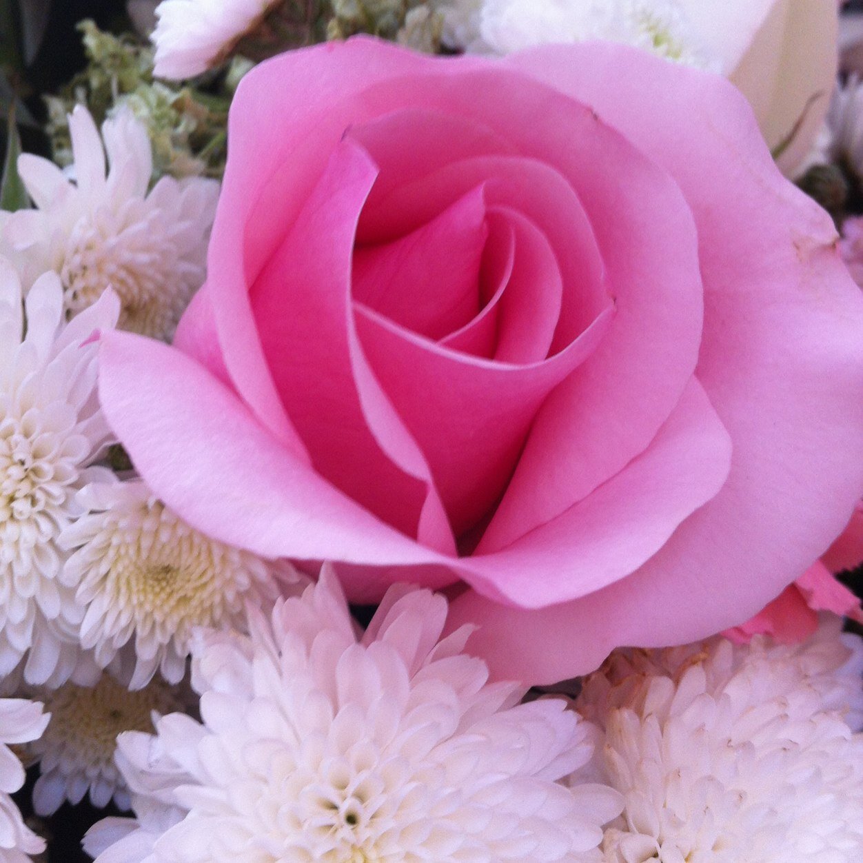 silvi5321's profile picture. 