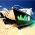 Island Vibes Tours (@islandvibestci) Twitter profile photo