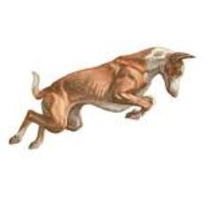 CazaMenor4's profile picture. 